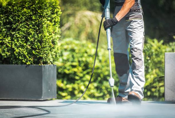 Best House Exterior Washing  in Blountstown, FL
