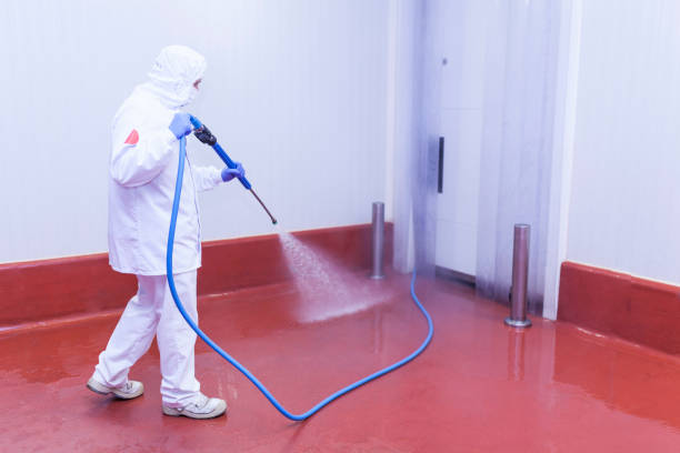 Best Heavy Equipment Washing  in Blountstown, FL